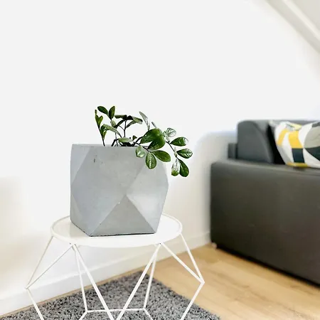 Apartment Le Bardot - Magnifique T2 - Rue D'antibes - Clim *